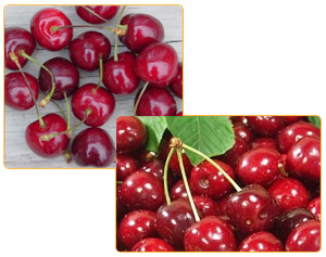 Cherries
