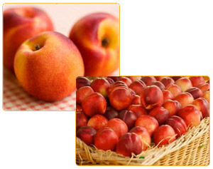 Nectarines