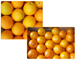 Oranges