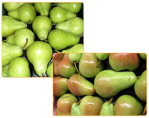 Pears